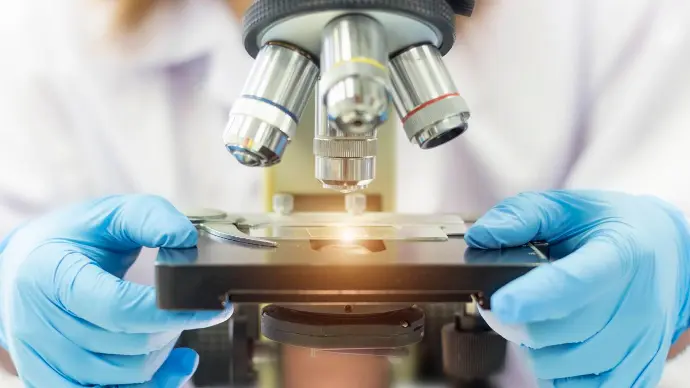 medicina regenerativa